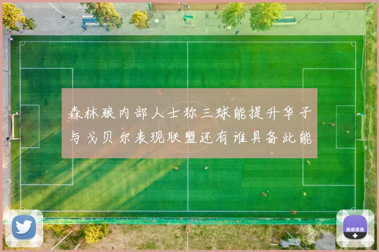 森林狼内部人士称三球能提升华子与戈贝尔表现联盟还有谁具备此能力