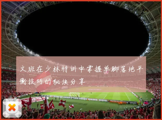 文班在少林特训中掌握单脚落地平衡技巧的秘诀分享